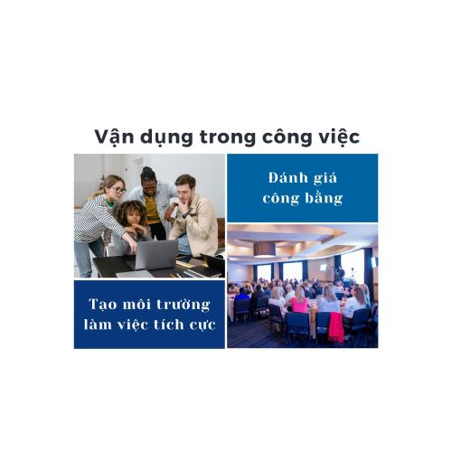 5. Sử dụng, vận dụng trong công việc